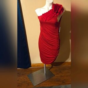 ING 3x ONE Sleeve Dress